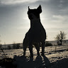 michal Profile Picture